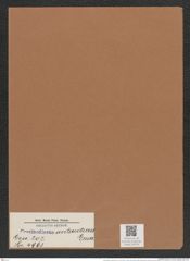 Coscinodiscus antarcticus Grun. (de-Toni-Nr.: Genus 202, Species 4963) Zeichnungen Sammlung Grunow Mappe 04779 (Herbarium_W_Grunow_drawings_Folder_04779)